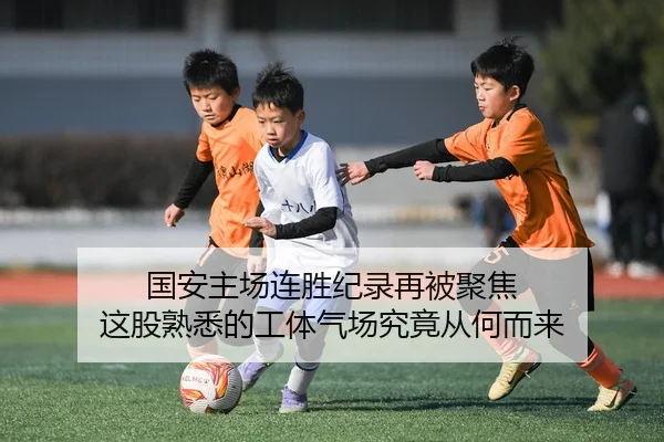 国安主场连胜纪录再被聚焦 这股熟悉的工体气场究竟从何而来
